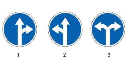 Which traffic sign forces the driver to go only to the left or to the right?